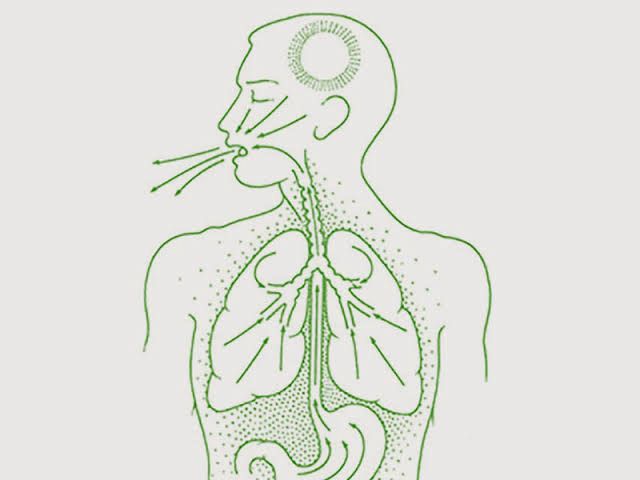 Vaman Therapy
